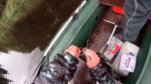 Рыбалка на реке Молога, Володя 23, окунь