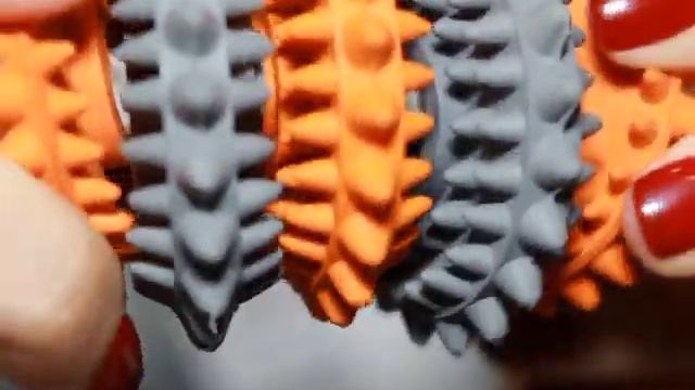 Все О Домашних Животных: Необходимые Вещи смотреть онлайн