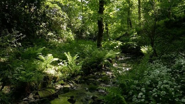 Towneley Park with the Panasonic Lumix DMC -TZ100 смотреть онлайн