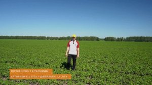 Схема защиты сои в Тамбовской области