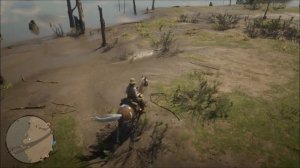 Red Dead Online Hunting - Pelican