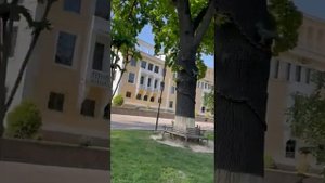 д/к Текстильщиков, памятник Пушкину Ташкент Tashkent 21.04.2023