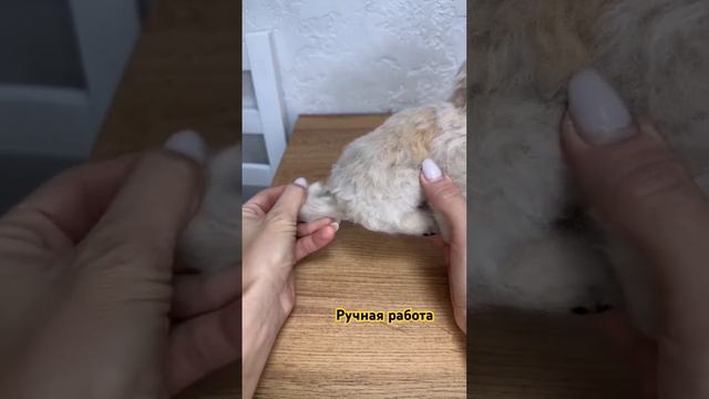 Игрушка из шерсти #валяние #ручнаяработаназаказ #игрушка #собака #подарок