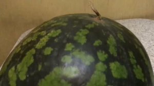 Разговариваю с арбузом | АРБУЗ ОЖИЛ | ПАРАНОРМАЛЬНЫЕ ЯВЛЕНИЯ | УЗНАЕМ ВСЮ ПРАВДУ