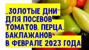 Три "золотых дня" февраля 2023  для посевов семян томатов, перца, баклажанов, всех вершков на рассад