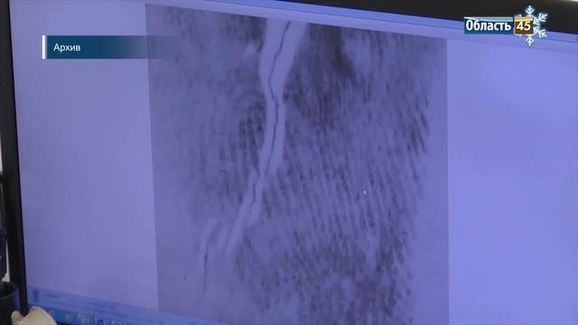 Поддельные экспертизы. Фальсификации курганских экспертов всплыли на суде смотреть онлайн