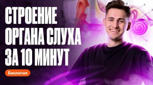 Строение органа слуха за 10 минут  | ОГЭ по биологии | Федор Агеев