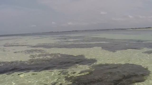 Watamu - Sandbar on the way to Kenya Marine Park 1 смотреть онлайн