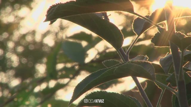 Бу Дуо Душманга Қарши Ӯқинг! Кучли Дуо! Сирлари ва Қандай ӯқишлик видеода айтилган! @ATVUZ смотреть онлайн