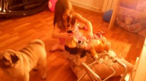 Метис той терьера и чихуахуа Ру, мопс Джульетта. Руша засыпает под Аэлитин спектакль)