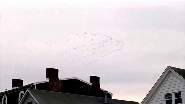 На рыбалке и не такое увидишь! Природа Рисует! Рыбак рыбачок. смотреть онлайн