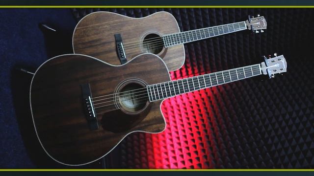 Акустические гитары FENDER PARAMOUNT ALL- MAHOGANY