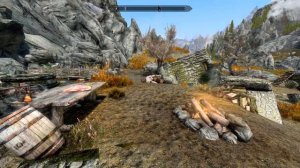 air skyrim loses a passenger