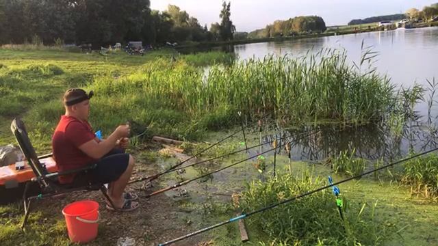 Рыбалка в Кокино на платном водоёме. смотреть онлайн