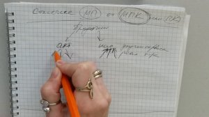 Менеджер по продажам vs менеджер по работе с клиентами