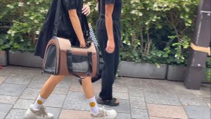 Как одеваются в Японии. Гуляем по улицам. Немного комментариев и шум улиц в Токио.