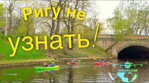Латвия: чем заняться в Риге - прогулка на кораблике #Авиамания #12