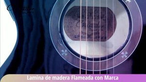 Guitarras Crusader CF 6000 HD