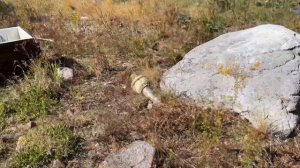 Виргины и Тютерсы. Внешние острова Финского залива