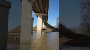 SEA-PRO 2.6 лодка для охоты