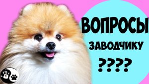 ПОКУПКА ЩЕНКА ЧТО СПРАШИВАТЬ У ПРОДАВЦА