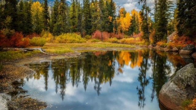 Для Светы было ударом узнать что любимый женился на другой... смотреть онлайн