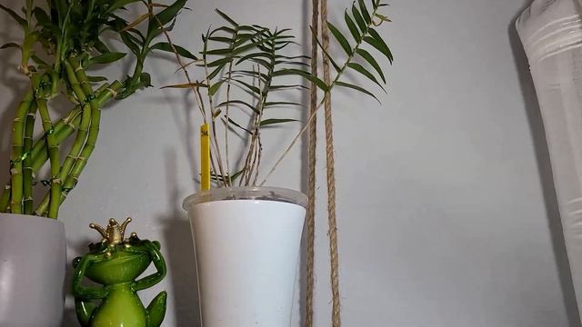 #GVBFOS2020, From Washington, USA, Welcome to Michelle's Life On Repeat смотреть онлайн