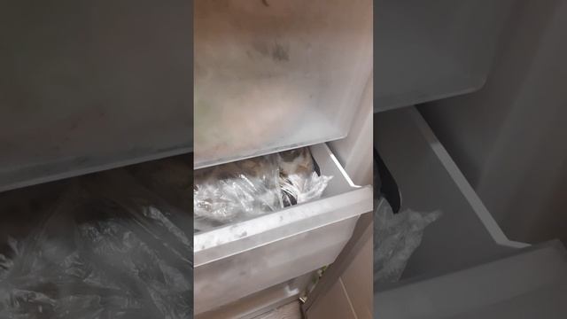 Видео обзор Морозильника Schaub Lorenz SLF L143M1 W смотреть онлайн