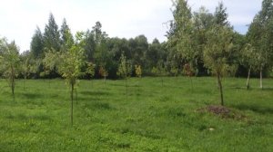 Почему церковь просит ДЕНЕГ и ПОКОРНОСТИ