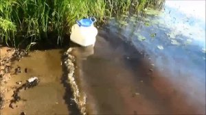 Рыбалка и обзор надувной лодка Sea Pro 200C