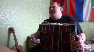 Сектор газа Пердун (кавер на гармони)