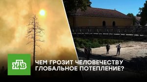 Аномальная жара, засуха и голод: чем грозит глобальное потепление человечеству