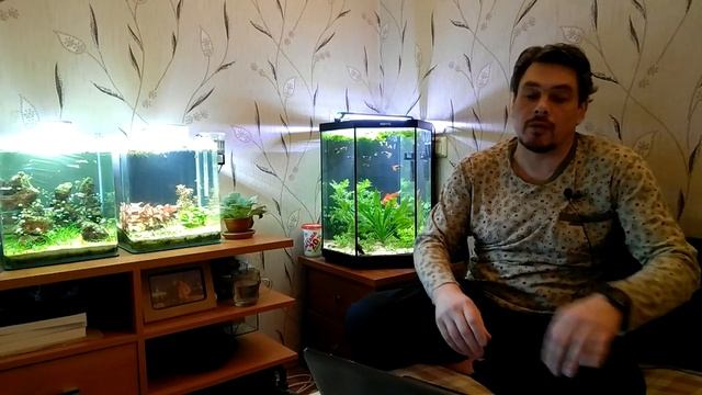 Выращивание аквариумных растений в тепличках.