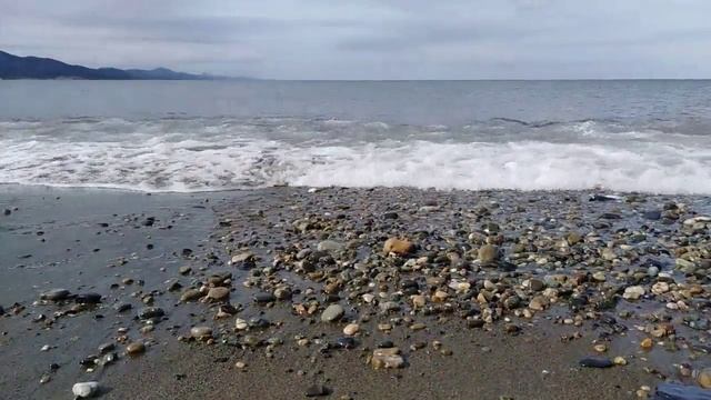 Смотреть видео онлайн