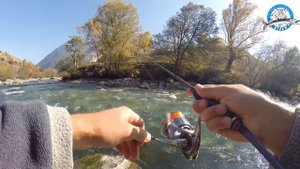 Теберда — форелевый край