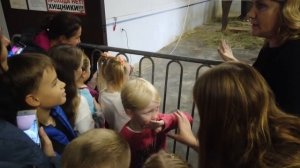 Что происходит за кулисами Цирка Рязань