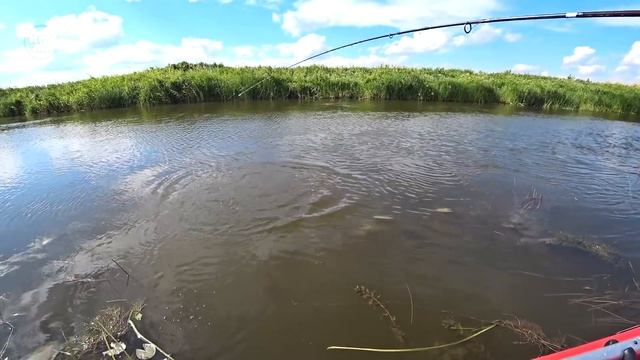 Устали рыбачить! Поклёвка на каждом забросе \Рыбалка в Казахстане на спиннинг\ Июль 2020 смотреть онлайн