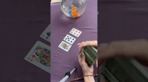 Отношение и чувства бубновой дамы ?♦️ к крестовому королю ♣️?