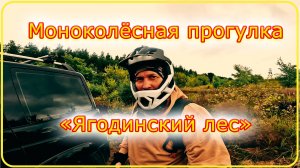 Моноколесо KingSong 18L Моноколёсная прогулка в Ягодинский лес. #велезаръ #природа #моноколесо