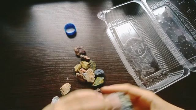 Гусеница сделала кокон. Как я пребераюсь у гусениц. смотреть онлайн