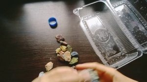 Гусеница сделала кокон. Как я пребераюсь у гусениц.