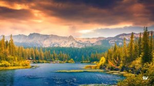 The Very Best Of Beautiful Romantic Saxophone Love Songs  - Лучшие инструментальные песни о любви??