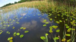 СНАСТЬ С КОТОРОЙ РЫБУ БУДЕШЬ ТАСКАТЬ ВЕДРАМИ