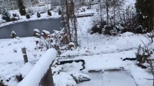 Пруд в мороз не замёрз