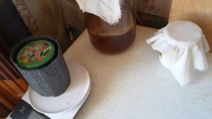 Чайный грибок из фикспрайса с плесенью,в чём причина,и как устранить плесень.