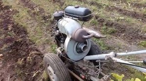 Копаем картошку мотоблоком 2020 г. Правильная веерная картофелекопалка для мотоблока Уборка картошк