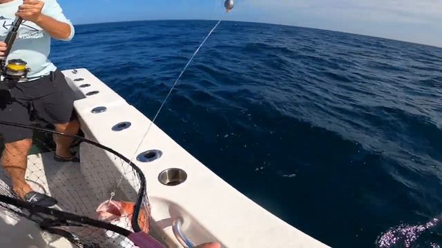 Mexico Beach Red Snapper Fishing HD 720p смотреть онлайн