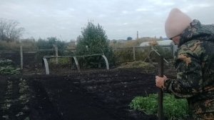 Пора сажать зимний чеснок. Зауралье, приступаем!