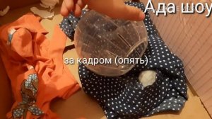 Всё что нужно для джунгарского хомяка (почти)