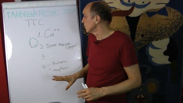 ГЛАВНЫЙ РЕСУРС ТЕЛА Ч9 Ттромбогеморрагический синдром